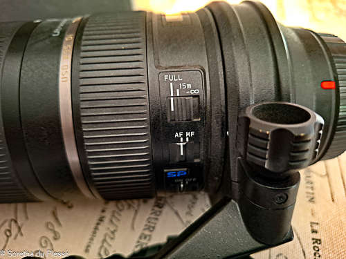 Tamron SP 150-600mm F/5-6.3 Di VC USD For Canon (Used)