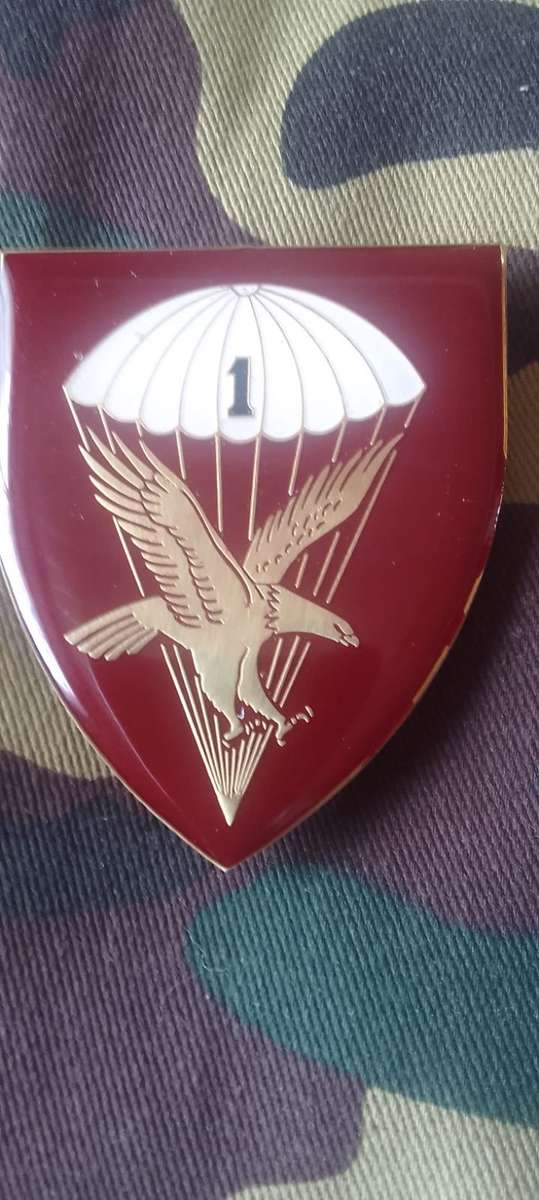 SADF 1 PARACHUTE BATTALION SHOULDER FLASH