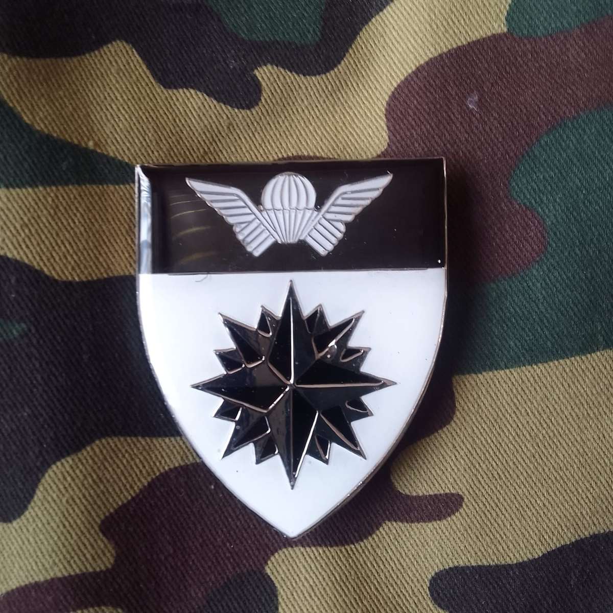 SADF/SA ARMY  5 RECCE SHOULDER FLASH - WITH PINS