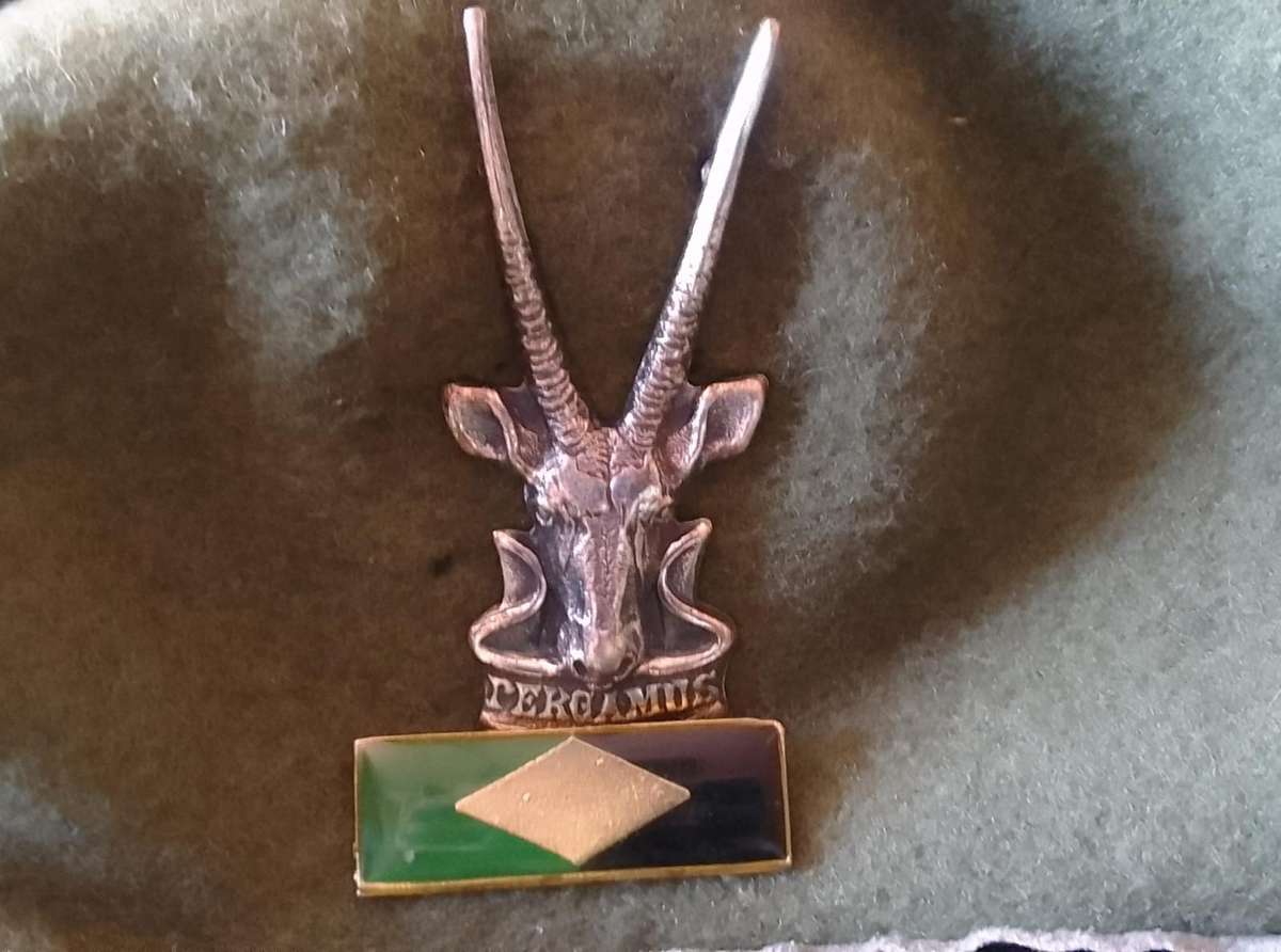 SADF -  SWATF INFANTRY  BERET (FULL)****CAP BADGE & BALKIE****HARD TO FIND