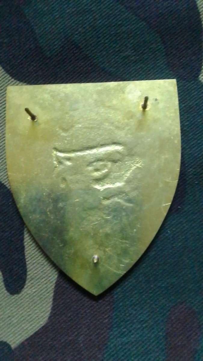 SADF / SA ARMY  44 PARACHUTE 18 LIGHT REGIMENT  - (WHITE STRIPES) SHOULDER FLASH