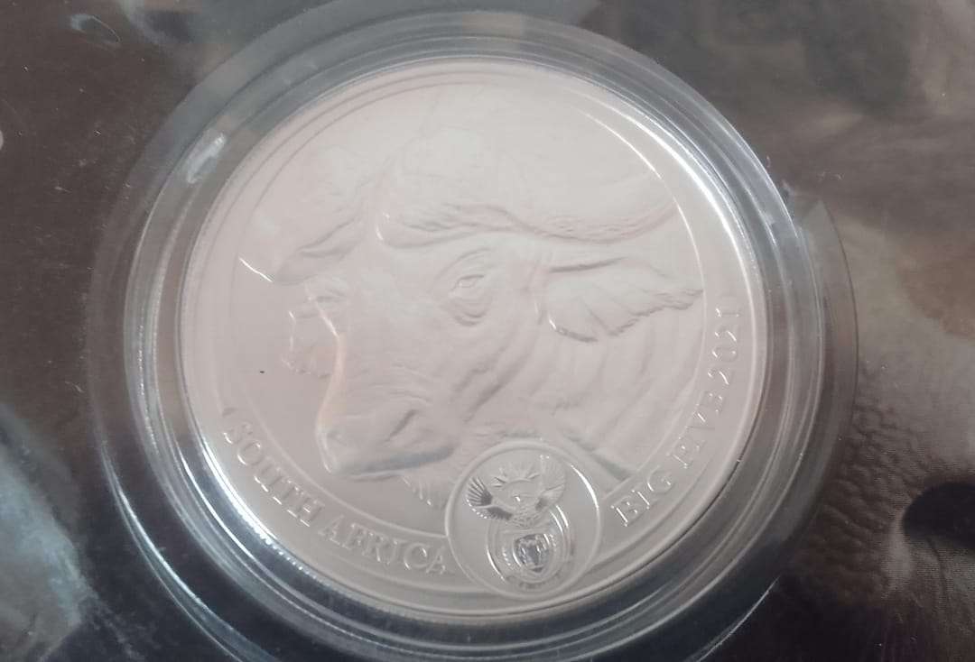 SILVER SPECIAL - LOW START!  2021 BIG FIVE BUFFALO COIN - IN SEALED BLISTER PACK -