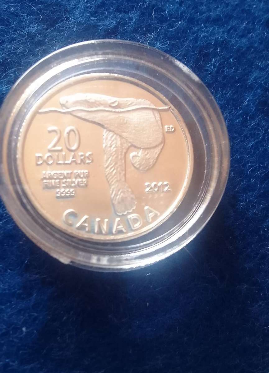 Silver Tickey: Canada Fine Silver Polo Bear One Gram Coin (1 gm) - In Capsule