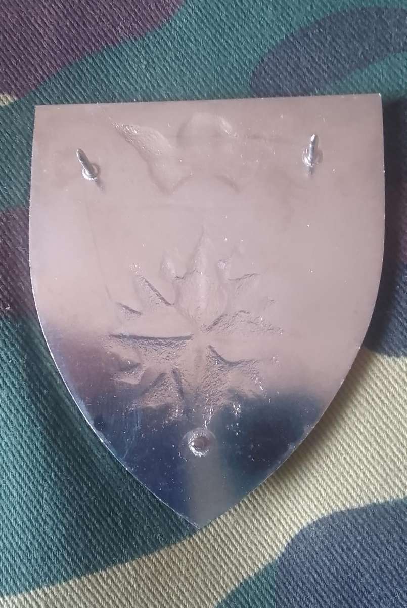 SADF/SA ARMY  5 RECCE SHOULDER FLASH - WITH PINS