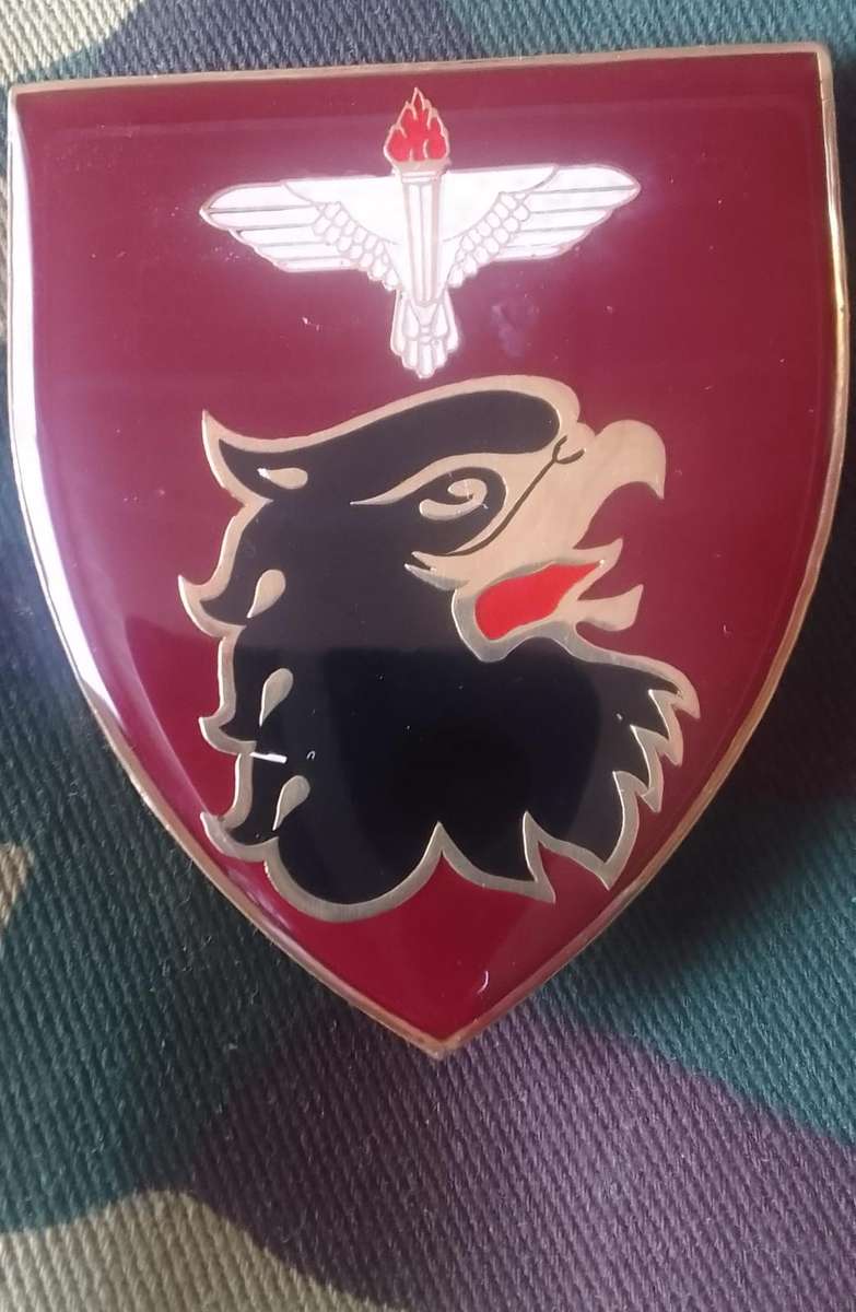 SADF 44 PARACHUTE PATHFINDER PLATOON SHOULDER FLASH