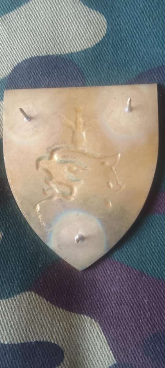 SADF 44 PARACHUTE PATHFINDER PLATOON SHOULDER FLASH