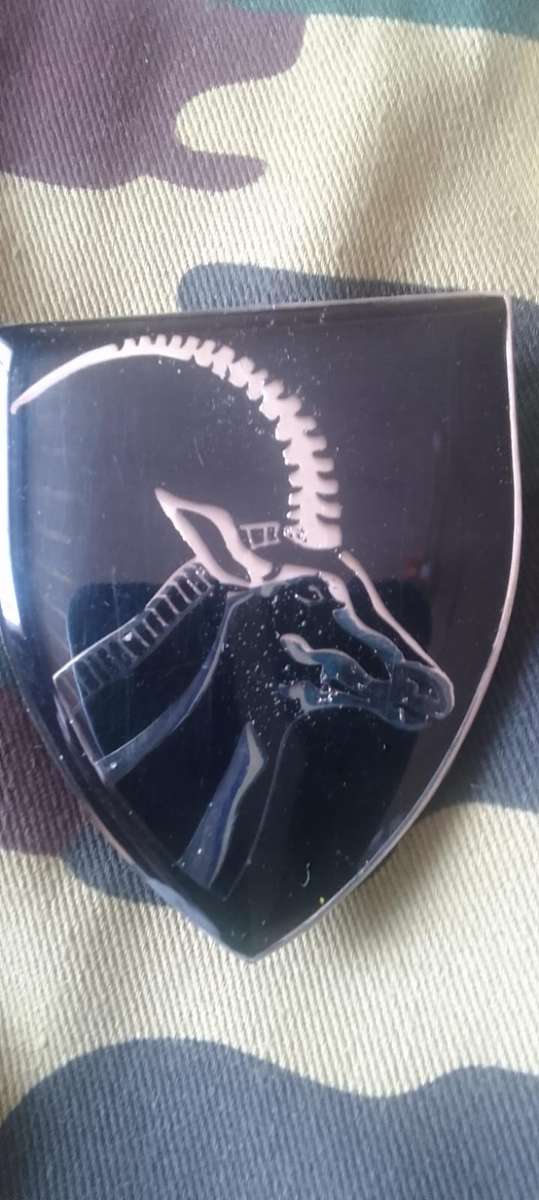 SADF BARBERTON COMMANDO SHOULDER FLASH  - WITH PINS