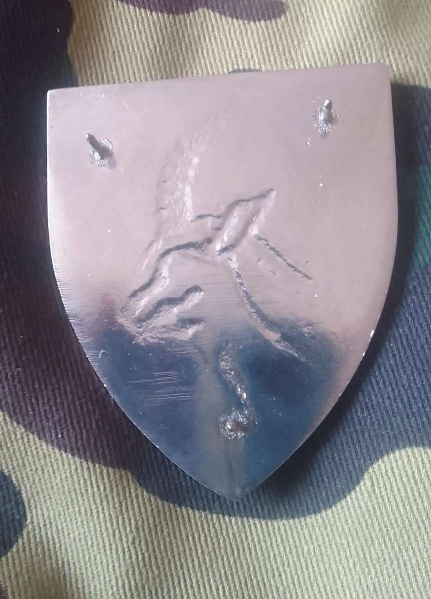 SADF BARBERTON COMMANDO SHOULDER FLASH  - WITH PINS