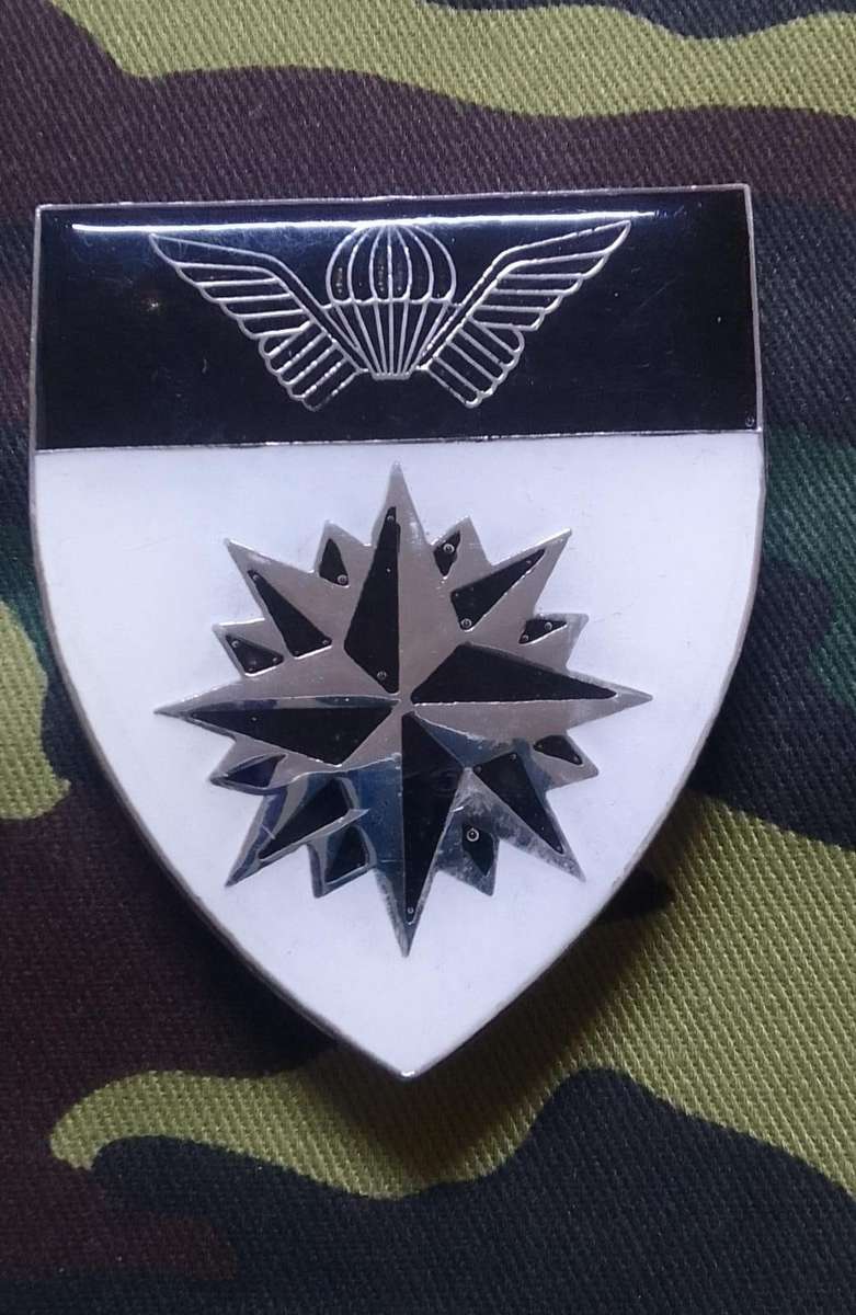 SADF/SA ARMY  5 RECCE SHOULDER FLASH - WITH PINS - BARGAIN BUY