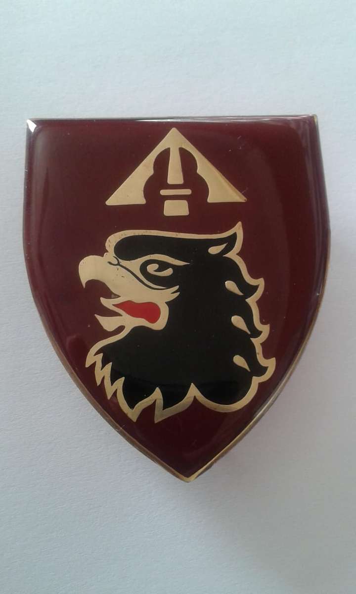 SA ARMY - SADF 44 PARACUTE  ANTI-AIRCRAFT REGIMENT SHOULDER FLASH