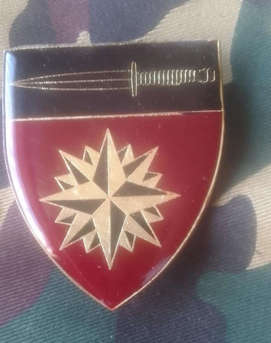 SADF/SA ARMY SPECIAL FORCES SCHOOL SHOULDER FLASH (PROPOSED)