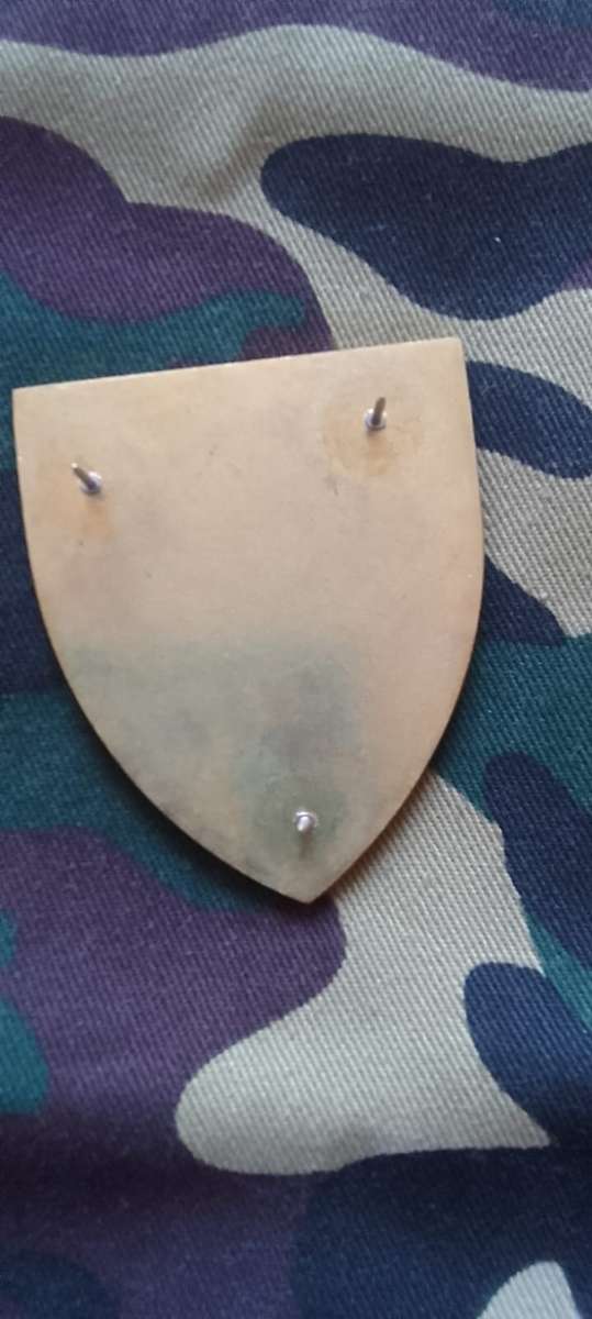 SADF/  SA ARMY  5 RECCE  SHOULDER FLASH NO. 52 -PART OF A LIMITED COMMEMORATIVE SET