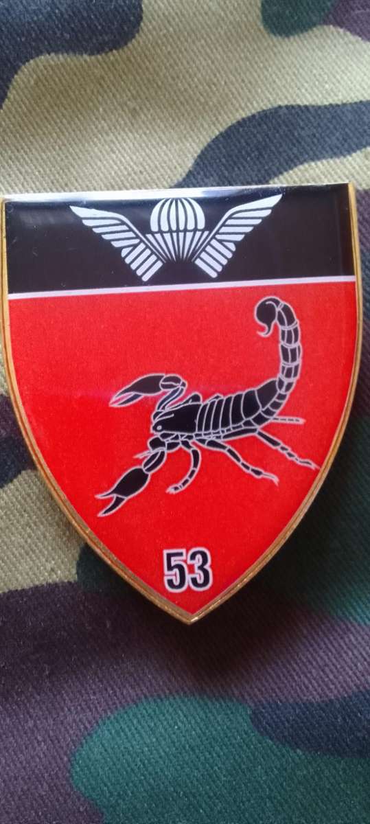 SADF/  SA ARMY 5  RECCE   SHOULDER FLASH NO. 53 - PART OF A LIMITED COMMEMORATIVE SE