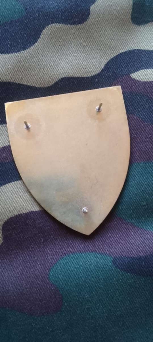 SADF/  SA ARMY 5  RECCE   SHOULDER FLASH NO. 53 - PART OF A LIMITED COMMEMORATIVE SE