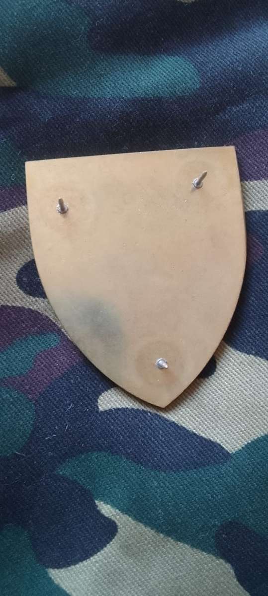 SADF/  SA ARMY 5  RECCE   SHOULDER FLASH NO. 55 - PART OF A LIMITED COMMEMORATIVE SET