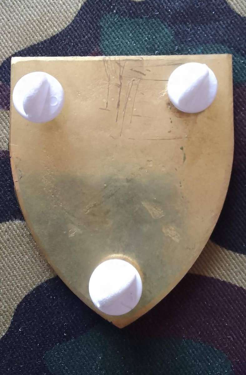 SADF/ SA ARMY CHAPLAIN  SHOULDER FLASH (with pins)