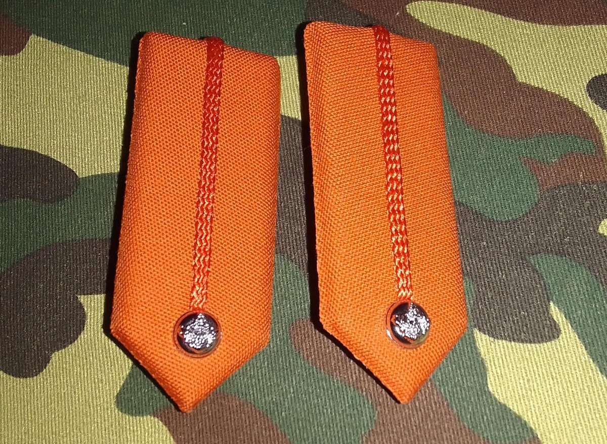 SADF/ SANDF SENIOR OFFICERS GORGETTES (SET)