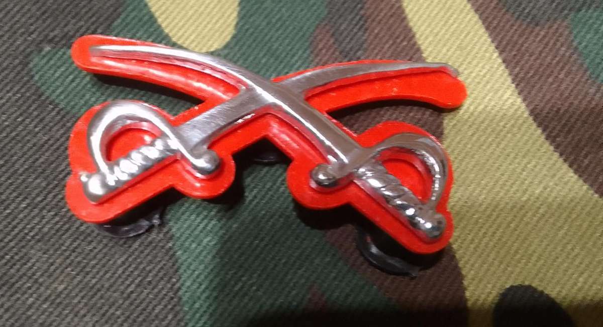 SADF - SANDF PT INSTRUCTOR ASSISTANT CHROMED BADGE - all pins