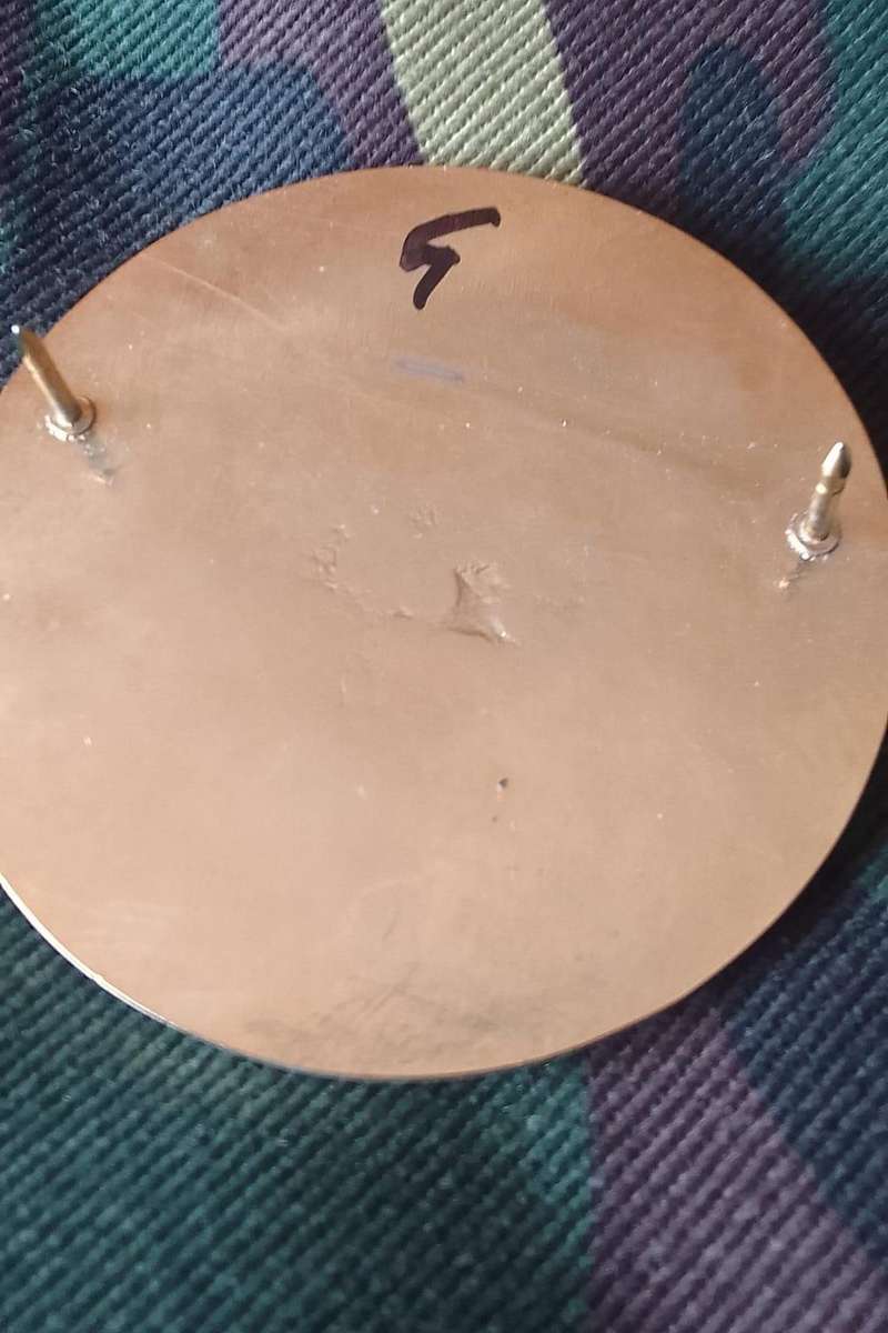 SADF/  SA ARMY 44 PARACHUTE BRIGADE ANTI-TANK SHOULDER FLASH