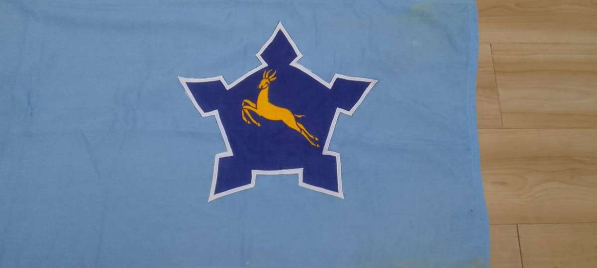 SADF/SA Army / SA AIR FORCE  SPORT FLAG - ORIGINAL