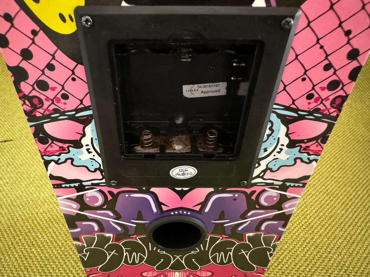 Polaroid Portable Karaoke Speaker