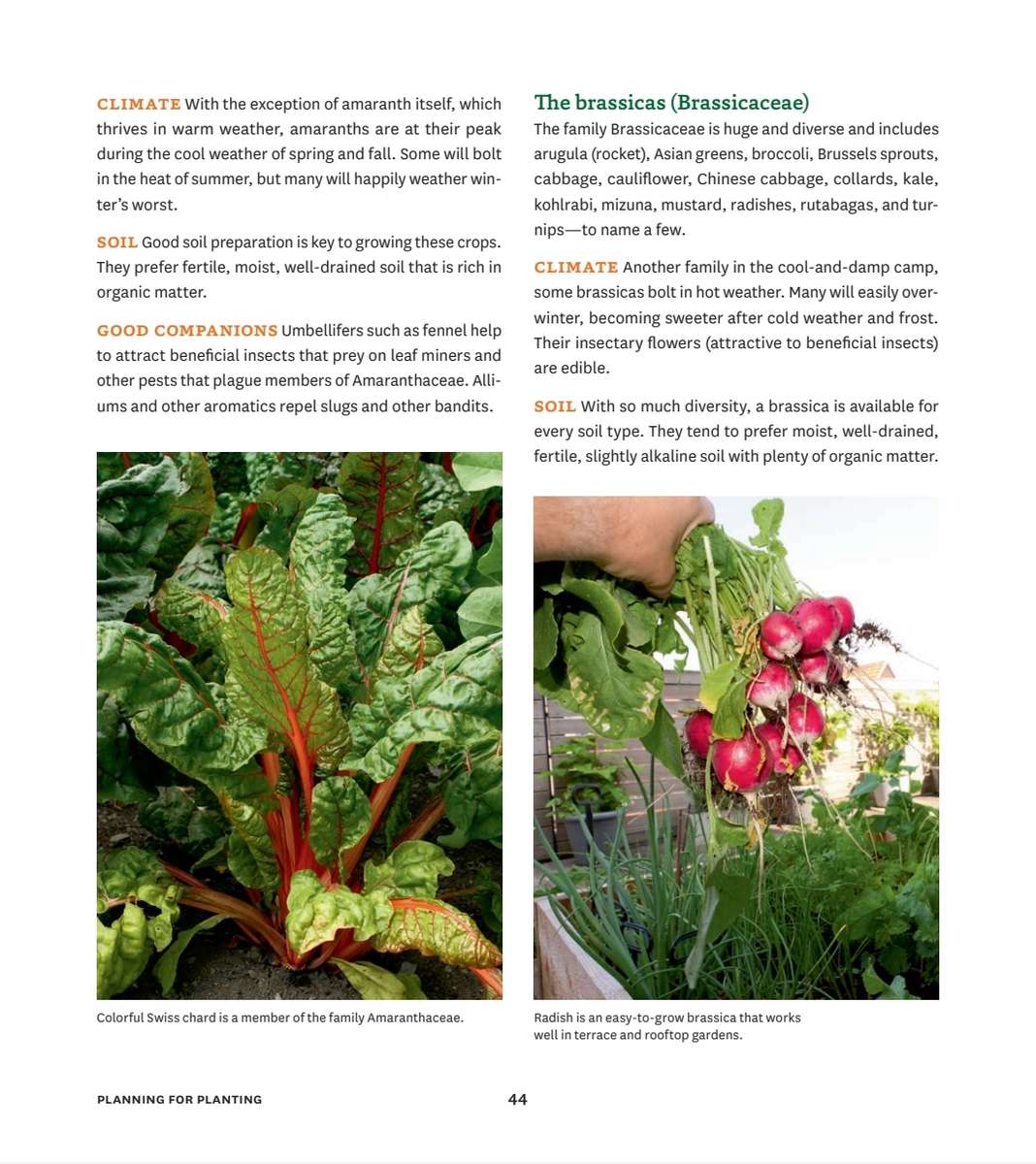 Small Space Vegetable Gardens PDF EBOOK