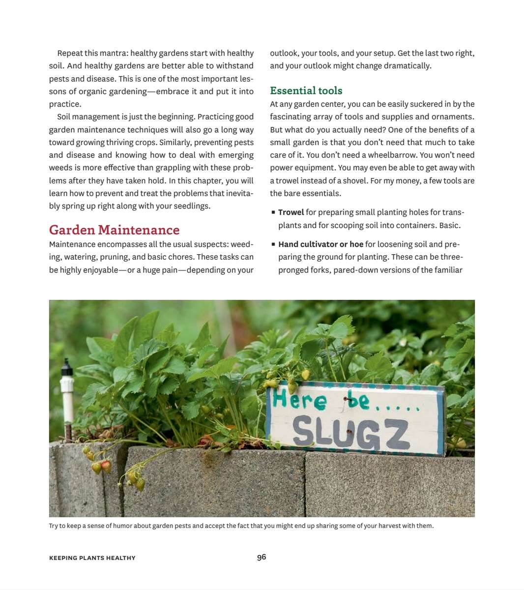 Small Space Vegetable Gardens PDF EBOOK