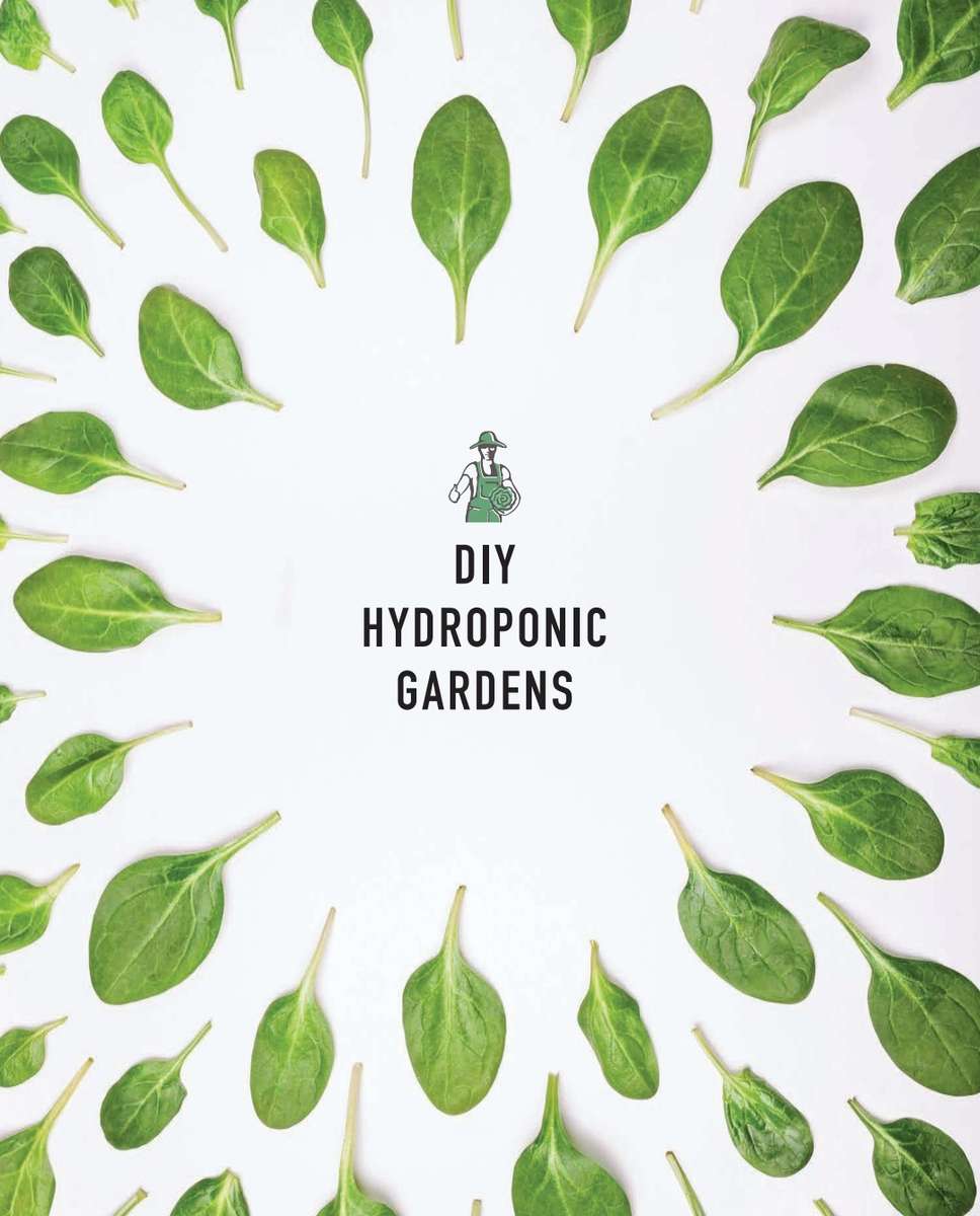 DIY Hydroponic Gardens PDF EBOOK