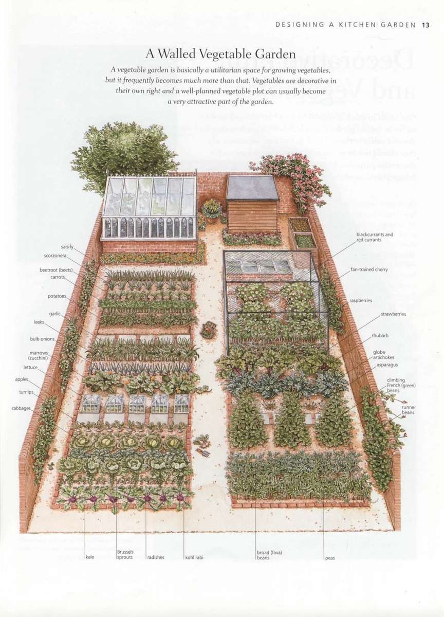 The Kitchen Garden Book PDF EBOOK