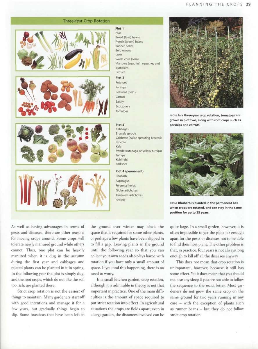 The Kitchen Garden Book PDF EBOOK