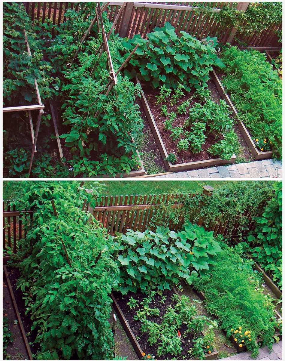 Fine Gardening Pocket Gardens PDF EBOOK