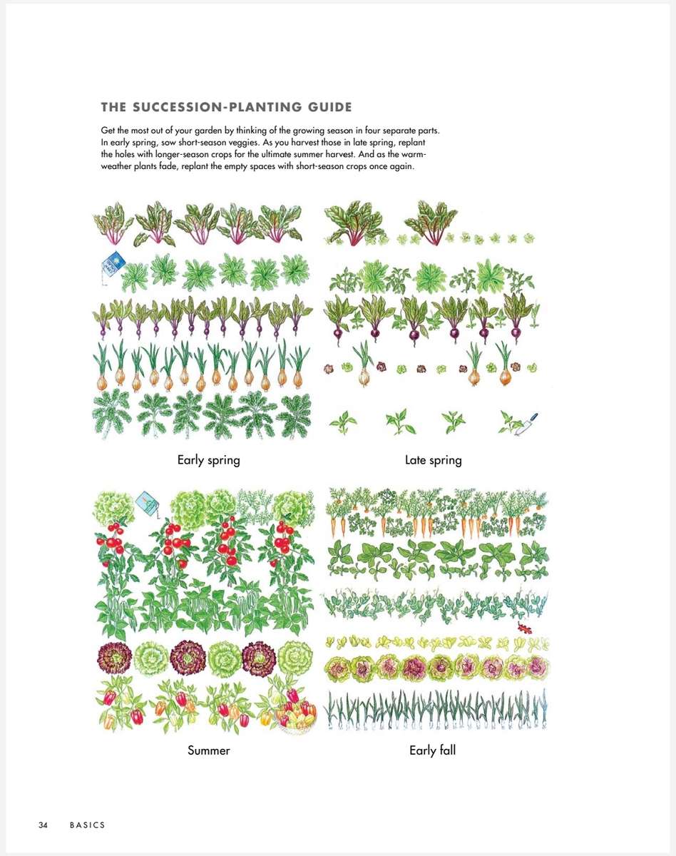 Fine Gardening Pocket Gardens PDF EBOOK