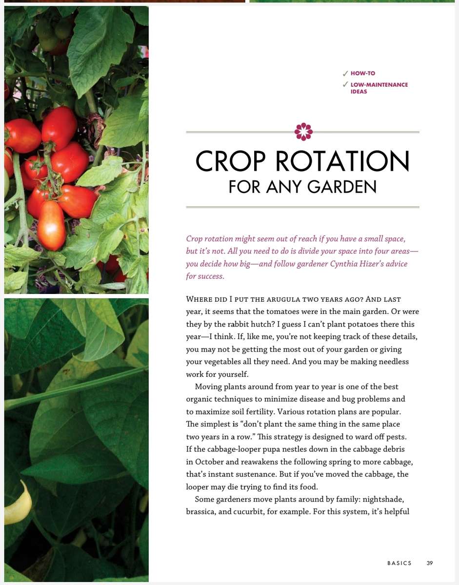 Fine Gardening Pocket Gardens PDF EBOOK