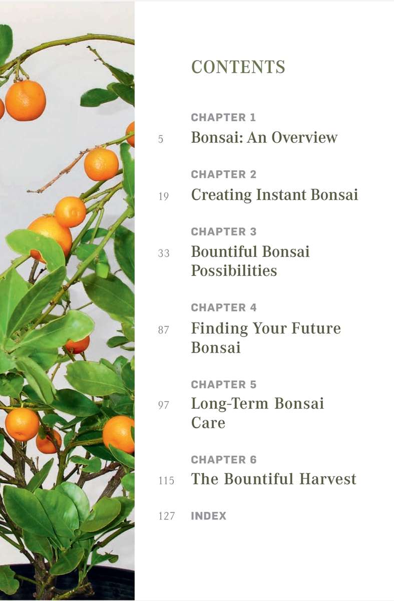 Bountiful Bonsai PDF EBOOK