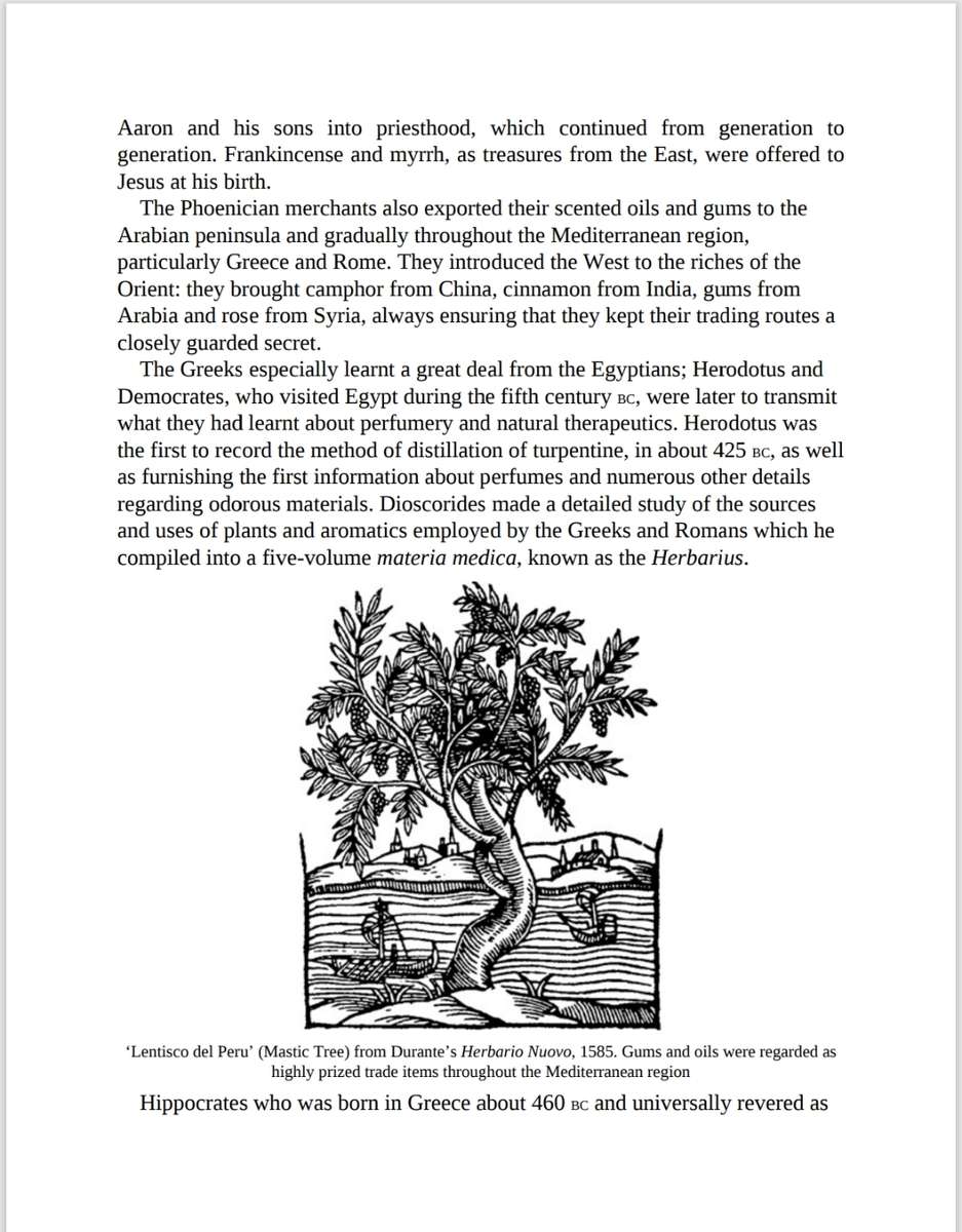 The Encyclopedia of Essential Oils PDF EBOOK