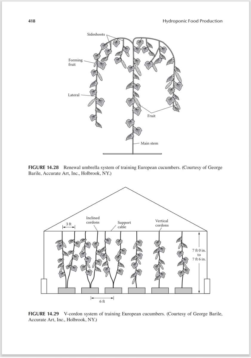 Hydroponic Food Production PDF EBOOK