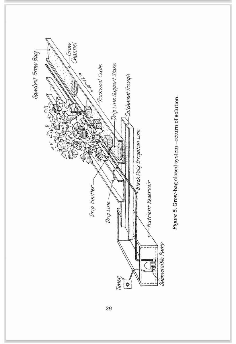 Hydroponic Tomatoes PDF EBOOK