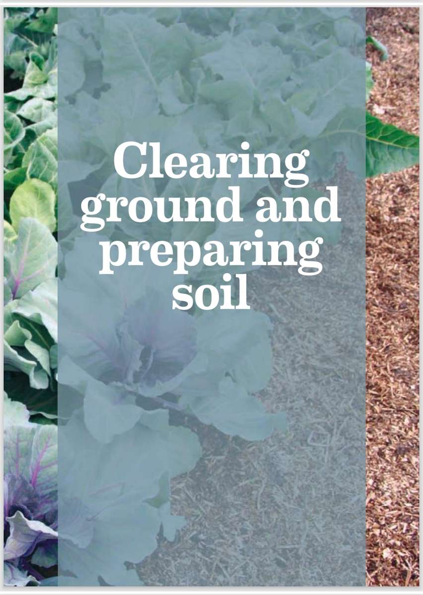 How to create a New Vegetable Garden PDF EBO