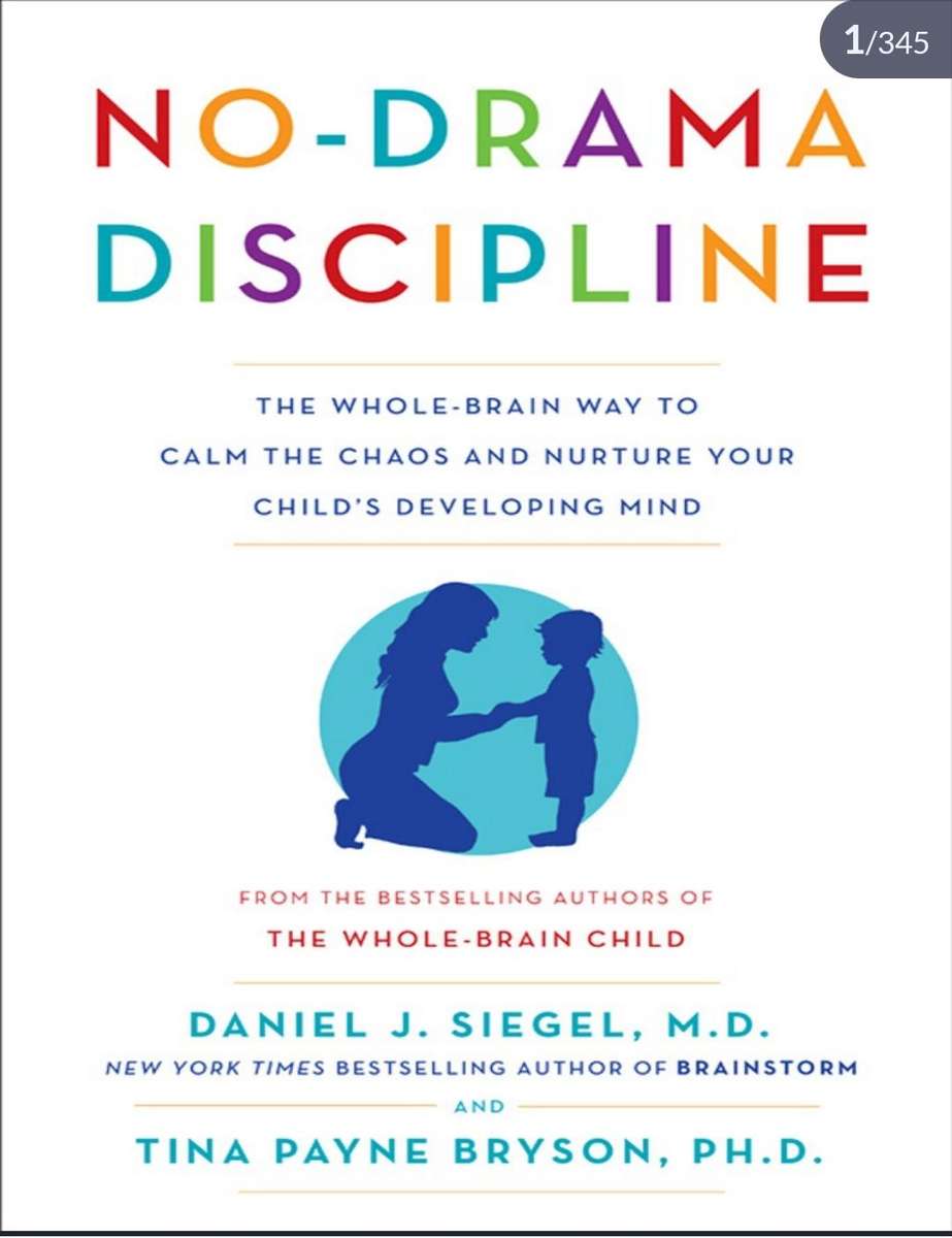 NO-Drama Discipline PDF EBOOK