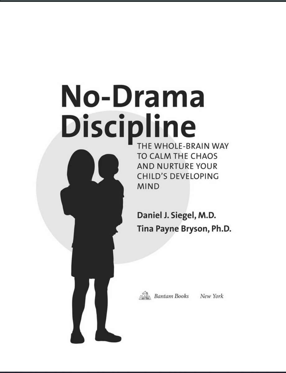 NO-Drama Discipline PDF EBOOK
