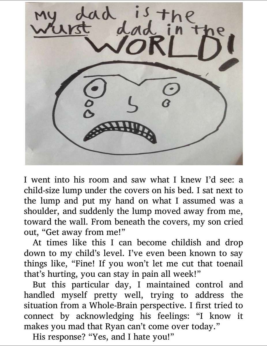 NO-Drama Discipline PDF EBOOK