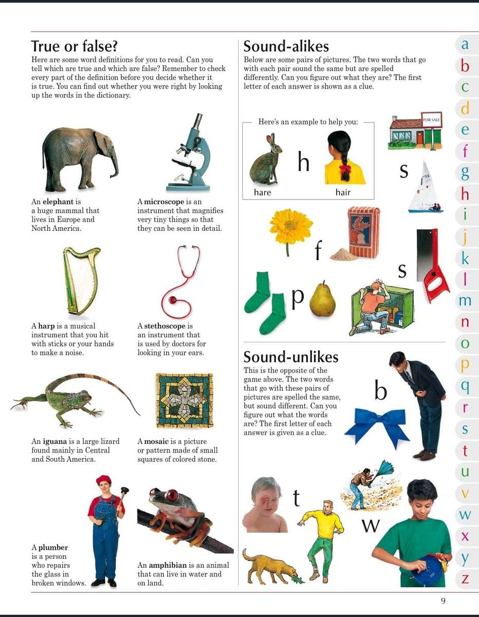 Children's illustrated Dictionary PDF EBOOK