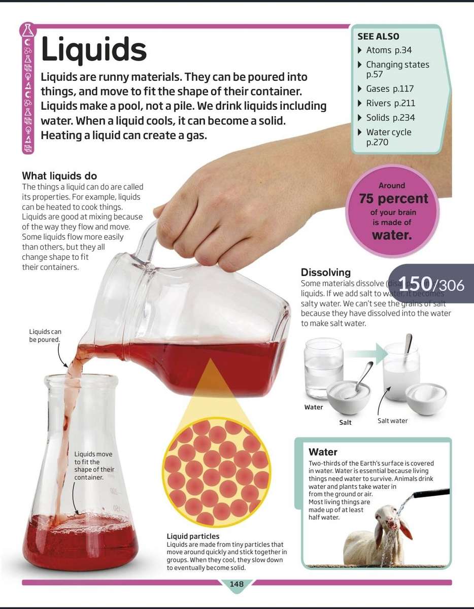 DK Children's Encyclopedia PDF EBOOK