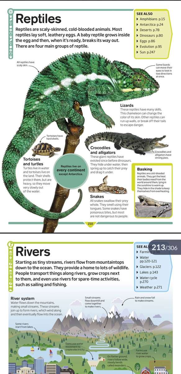 DK Children's Encyclopedia PDF EBOOK