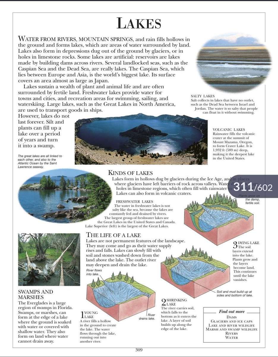 Children's illustrated Dictionary PDF EBOOK