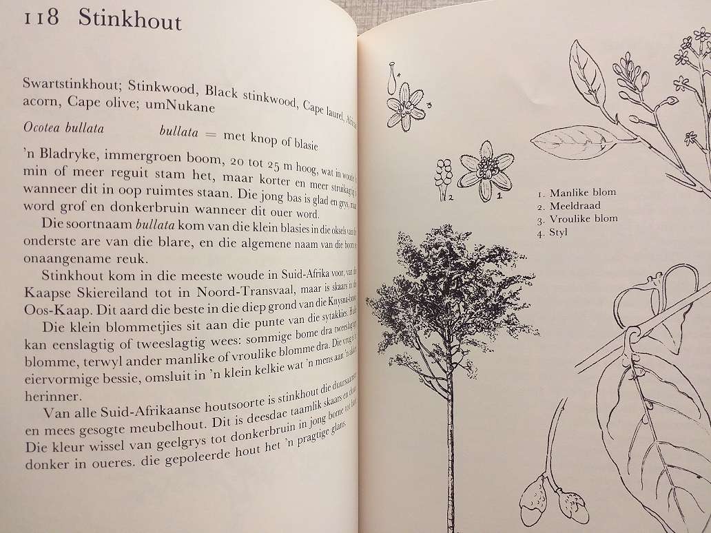 Ons eie boomboek (Cythna Letty)