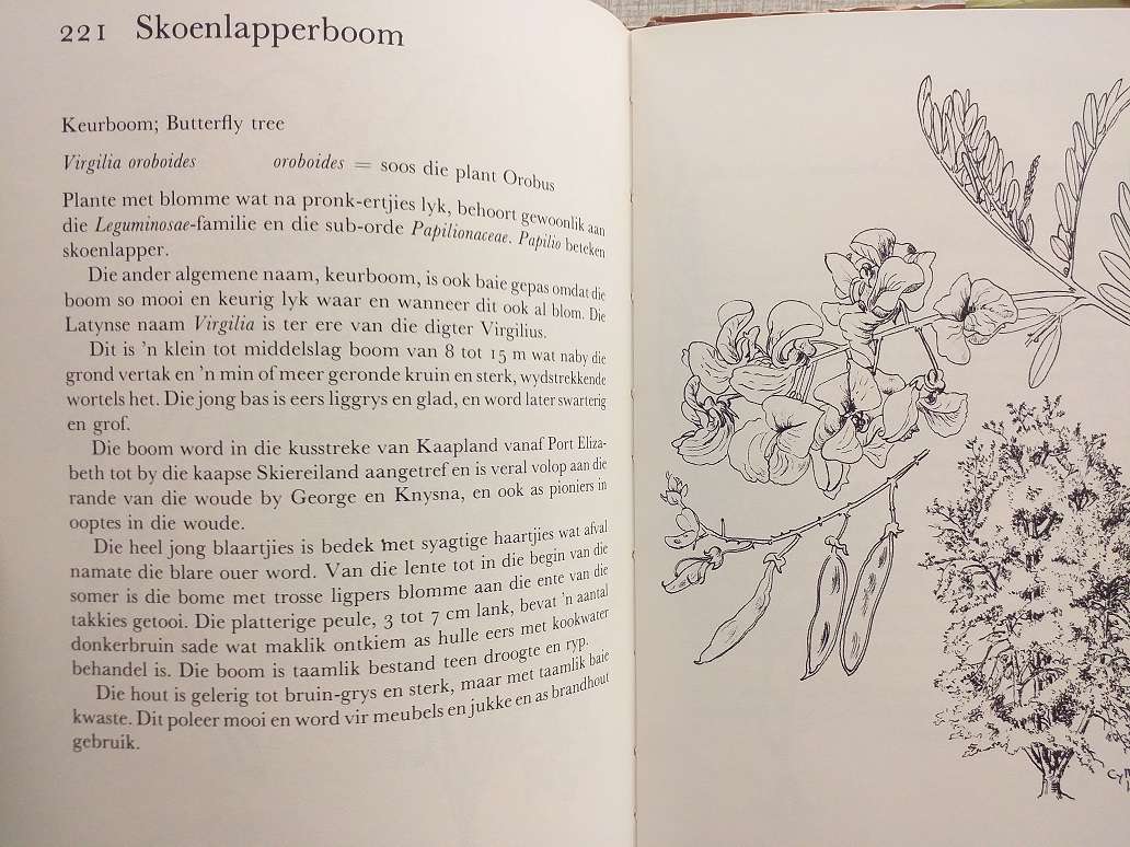 Ons eie boomboek (Cythna Letty)