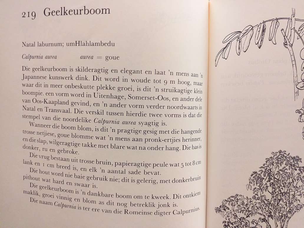 Ons eie boomboek (Cythna Letty)