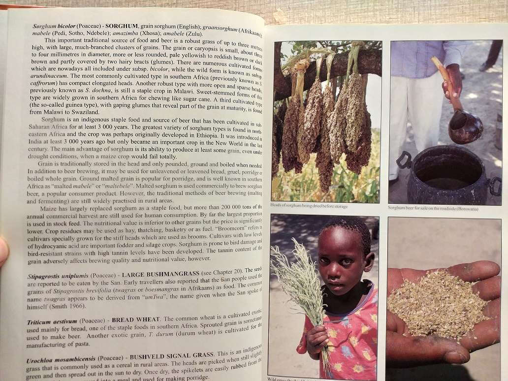 People's plants A Guide to useful plants of Southern Africa (Ben-Erik van Wyk & Nigel Gericke)