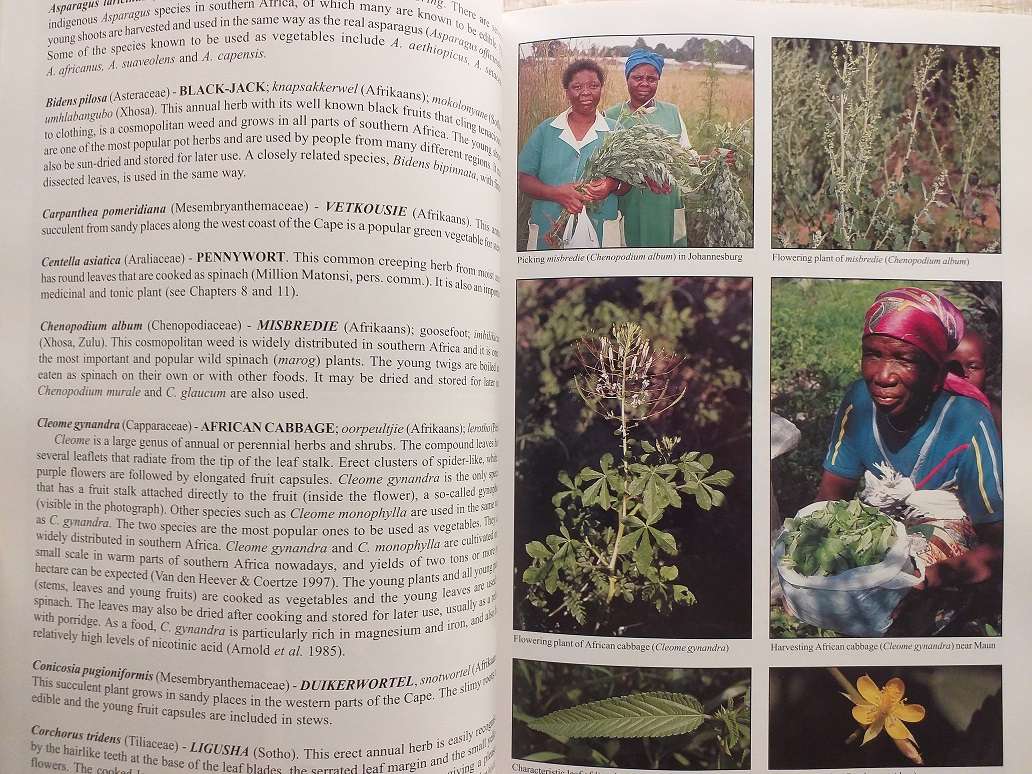 People's plants A Guide to useful plants of Southern Africa (Ben-Erik van Wyk & Nigel Gericke)